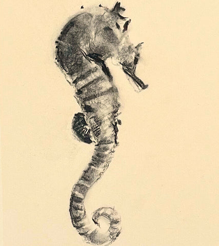 Seahorse - Charcoal   by artist Emer McCourt