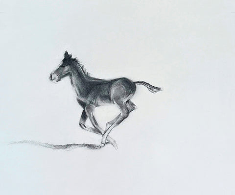 Poetry in Motion - Charcoal Drawing  by artist Emer McCourt