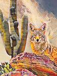 Curious Coyote - Mixed Media digitized and printed on Acrylic  by artist Theresa Poalucci