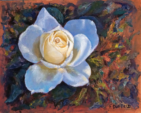 White Rose - oil on cradled birch panel  by artist Florine Duffield