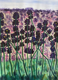 Nancy Riedell - "A Field of Purple"