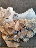 Kat Elaine - "3 Quail Friends"
