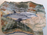 Kat Elaine - "Dolphin Friends"