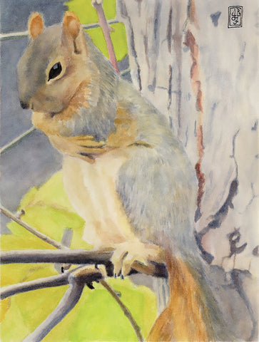 Squirrel after rain - Watercolor Pencil  by artist Janet Fountain