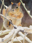 Squirrel after snowfall - Watercolor Pencil  by artist Janet Fountain