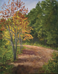 Path into the Woods - oil  by artist Ann McCarty