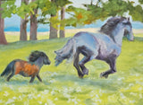 Lisa Couper - "Meadow Race"