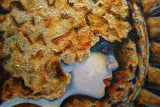 Gail A. McFarland - "Sol–Luna Mystery"