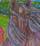 Kimberlie Miller - "Seeking Shelter"
