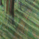 Kimberlie Miller - "Becoming"