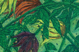 Kimberlie Miller - "Dance Of The Flowers"