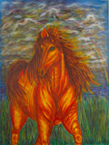 Kimberlie Miller - "Wild Fire"