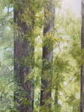 Robin Hegemier - "Standing With Giants"