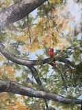 Robin Hegemier - "Sanctuary In The Branches"