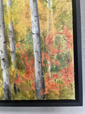 Robin Hegemier - "Shifting Seasons"
