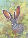 artboost-offering-image:411_variant_primary_1792330198_8b491a2c2bb2882ec51c.jpg