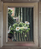 Sharon K Hernly - "Desert Harmony: Mourning Dove in a Saguaro"