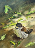 Sharon K Hernly - "Sparrow Arrives for Breakfast"