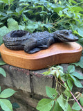 Karl Christopher Gabriel - "Baby gator"