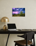 artboost-offering-image:483_variant_additional_1787057289_1ef50e053362c91eb695.jpg