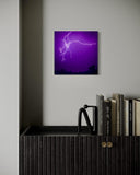 artboost-offering-image:483_variant_additional_1787099690_2a92b763a9013742073b.jpg