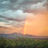 artboost-offering-image:483_variant_primary_1787100508_5b728327b69c68371349.jpg