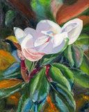artboost-offering-image:509_variant_primary_1786813334_104acd80ac0832ff5535.jpg