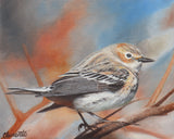 artboost-offering-image:526_variant_additional_1788108330_a349b7992e98080822ff.jpg