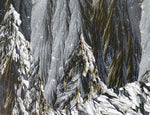 Lee Hendrickson - "SNOWFALL"