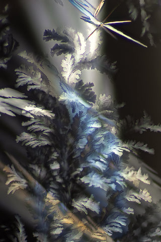 Lee Hendrickson - "ILLUMINATION"