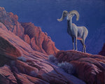 Kevin Tice - "King of the Red Rocks"