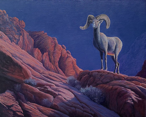 Kevin Tice - "King of the Red Rocks"