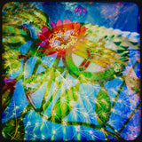 artboost-offering-image:552_variant_primary_1790024396_eb965b7d6b421bc08fd0.jpg