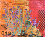 Laurie S Waalkes - "Colorado Locoweed"