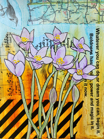 Laurie S Waalkes - "Pasque Flowers"