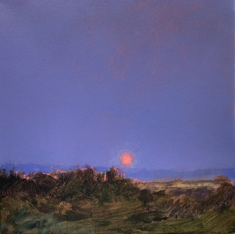 Patrice DeLorenzo - "Sun Salutation Series I"