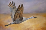 DeAnn Meely - "The Art of Flight"