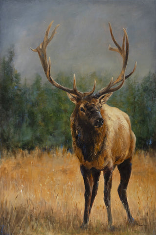 DeAnn Meely - "Sentinel"