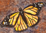 Jennifer Love - "Majestic 2"