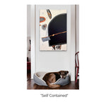 Joyce Wynes - "Self Contained"