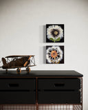 Joyce Wynes - "Floral: Radiating Flower 2"