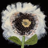 Joyce Wynes - "Floral: Radiating Flower 1"