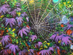 Chrys Albaugh - "The Ferris Wheel"