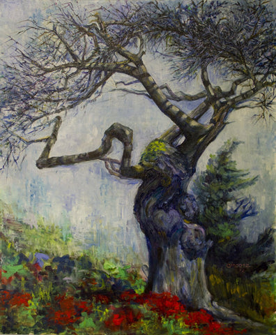 Chrys Albaugh - "The Carmel Cypress"