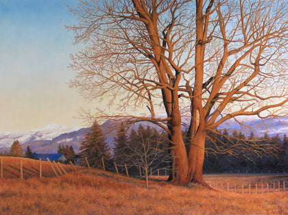 Sandra Bryant - "Along the Hannegan"