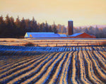 Sandra Bryant - "Sunset on the Fields"