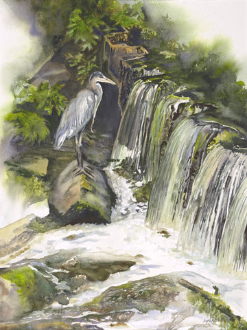 April M Rimpo - "An Eye for Fishing"