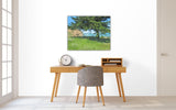 HAL BOHNER - "An Afternoon at Mori Point"