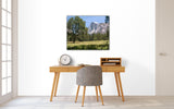 HAL BOHNER - "Afternoon in Yosemite Valley"