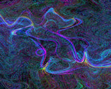 HAL BOHNER - "Entangled"